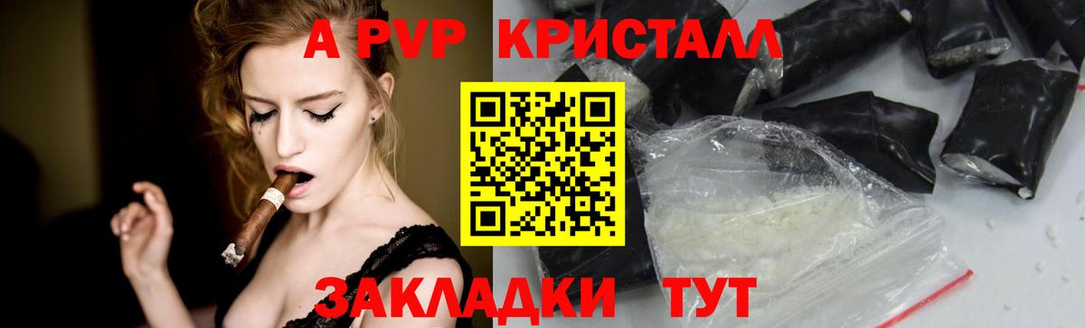 A PVP СК КРИС Старая Русса
